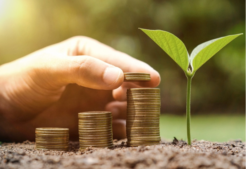 Hand stapelt Münzen auf die Erde neben einen Keimling