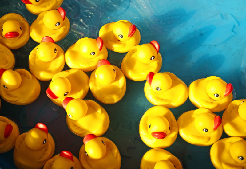 rubber ducks