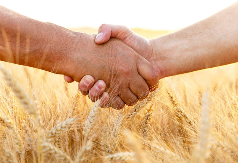 zwei Menschen geben sich die Hand, im Hintergrund ein Getreidefeld