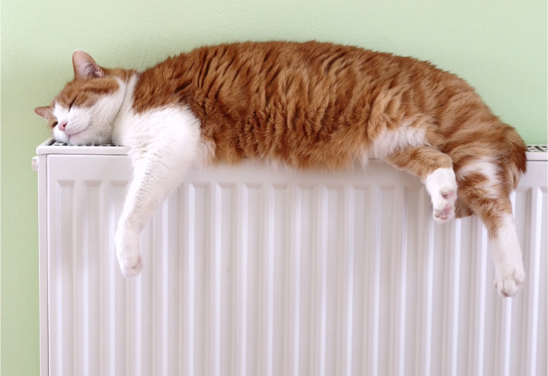 a cat is sleeping on a radiator