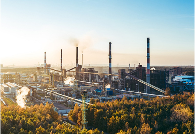 A factory surrounded by forest.