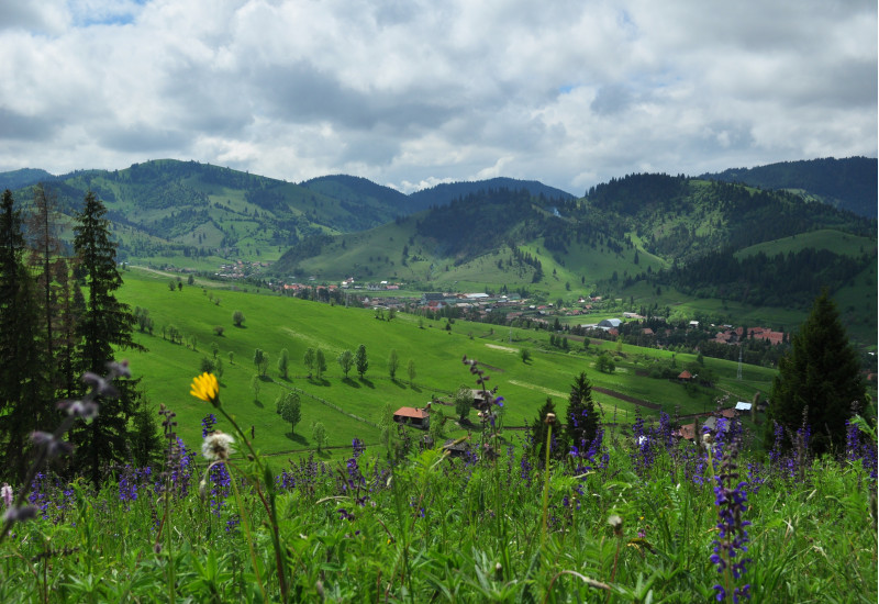 Berglandschaft mit blühenden Wiesen, im Tal ein Dorf