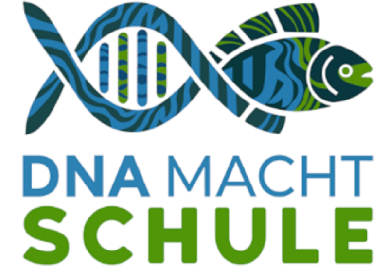 DNA-Strang wird zu einem Fisch, Schriftzug DNA macht Schule