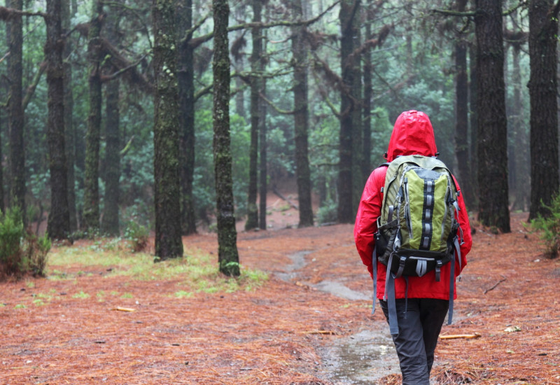 Wanderer mit roter Regenjacke und Rucksack wandert bei Regen durch einen Wald