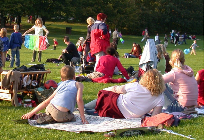 Familien im Park auf einer Liegewiese