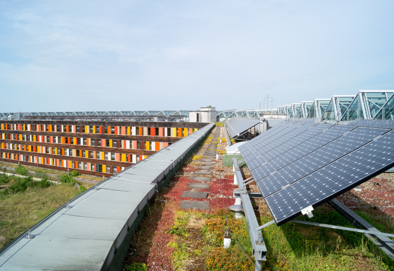vierstöckiges Bürogebäude mit einer Fassade aus Holz und bunten Glaselementen; auf dem begrünten Dach steht eine Photovoltaik-Anlage
