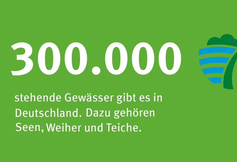 auf grünem Hintergrund steht: 300.000 stehende Gewässer gibt es in Deutschland. Dazu gehören Seen, Weiher und Teiche