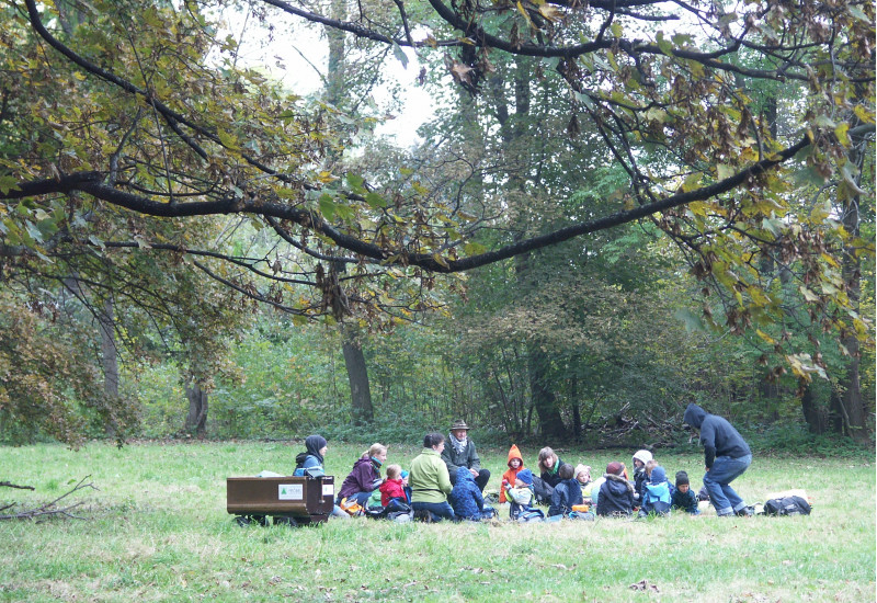 eine Kindergartengruppe sitzt auf einer Waldlichtung auf einer Wiese im Kreis