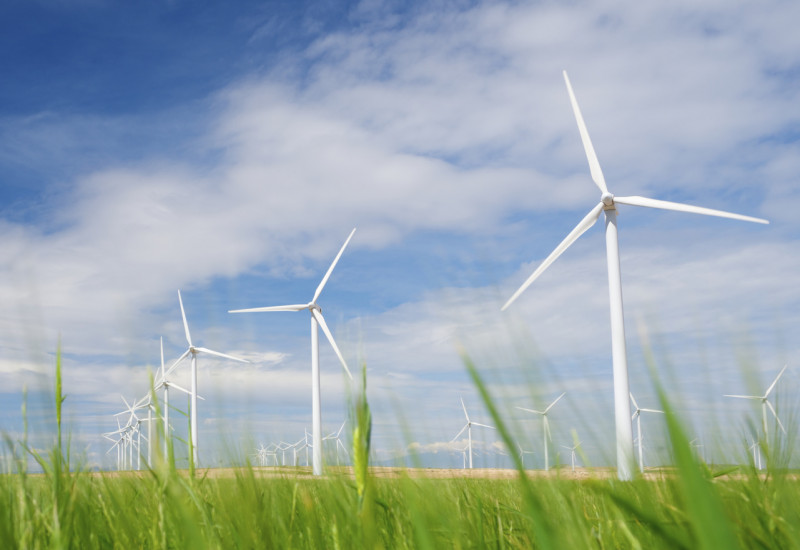 Windkraftanlagen auf einem Feld