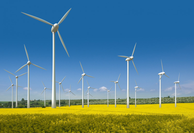 eine Fotomontage zeigt einen geplanten Windpark auf einem Rapsfeld, im Hintergrund Wald und blauer Himmel