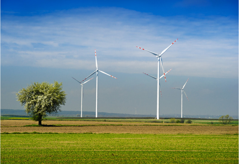 Fünf Windenergieanlagen auf einem Feld