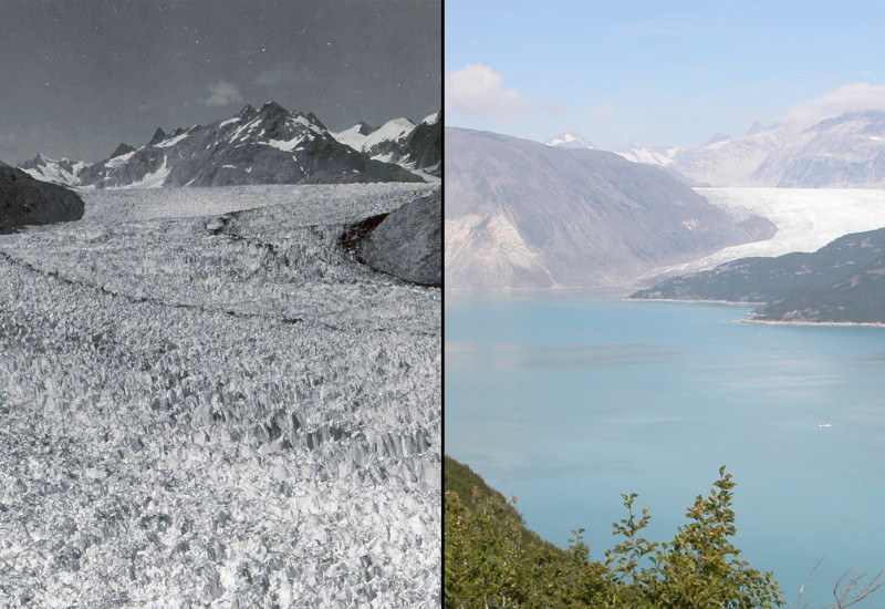 Abschmelzen des Muir Gletschers in Alaska 1941 und 2004