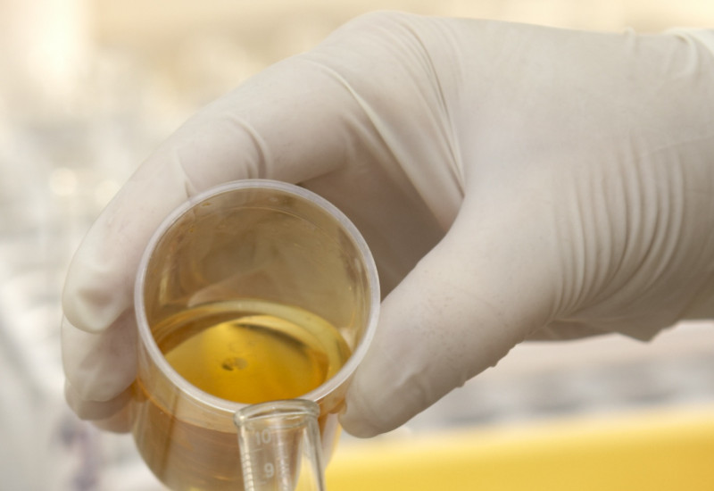 Flüssigkeit wird im Labor von einem Glasbehälter in ein Reagenzglas umgeschüttet