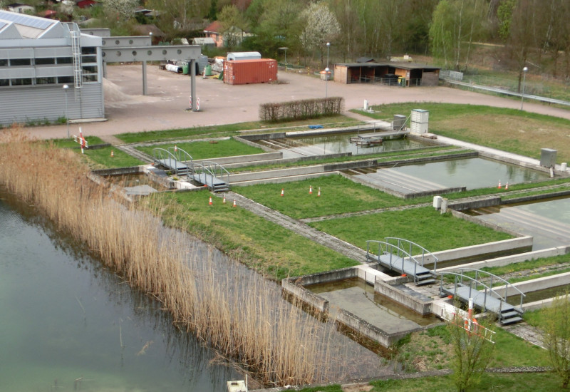 Ein größerer Teich und mehrere kleine Becken, dahinter ein Parkplatz und Gebäude