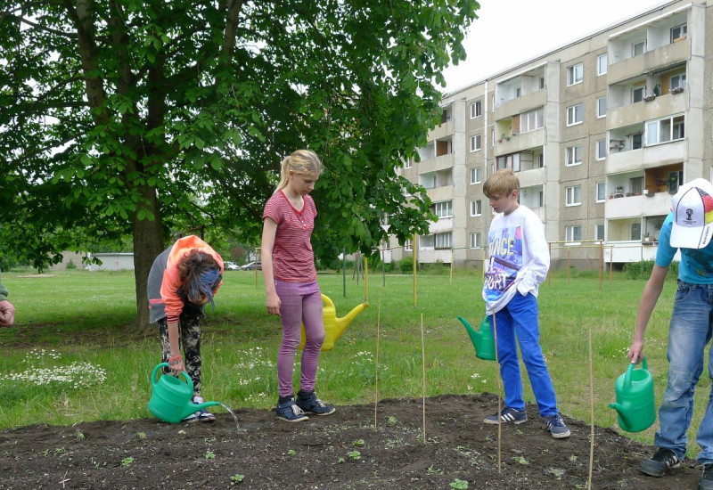 Kinder pflanzen in Dessau ein Blumenbeet.