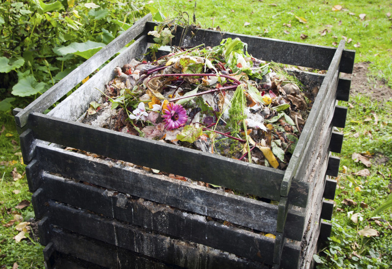compost heap in a garden