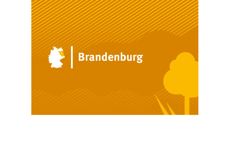 Headerbild für Bundesland Brandenburg