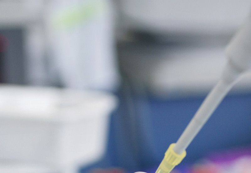 Person in Laborkleidung hält ein Reagenzglas mit Blut und verwendet eine Mikroliterpipette zur Probenentnahme