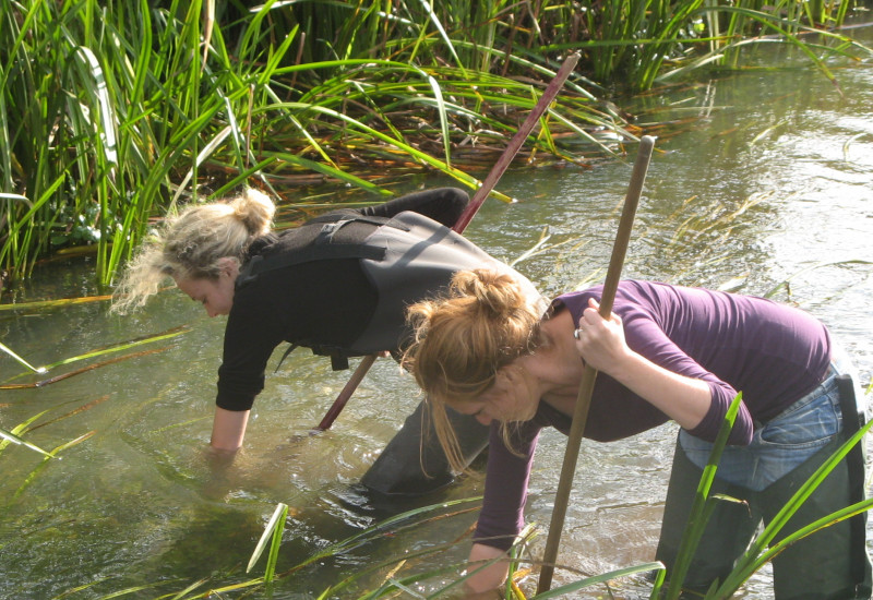 two women are fishing in the water to take some samples