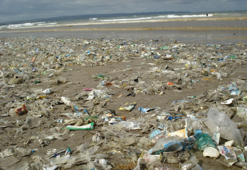 Ein schlammiger Strand übersät mit sovielen Plastiktüten, dass man den Sand nicht mehr sieht.