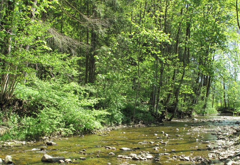 Breiter sehr flacher Fluss, dessen Grund mit vielen kleinen Steinen versehen ist.