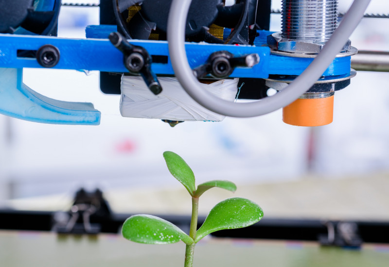 Ein Plastikbaum wird in einem 3D-Drucker produziert