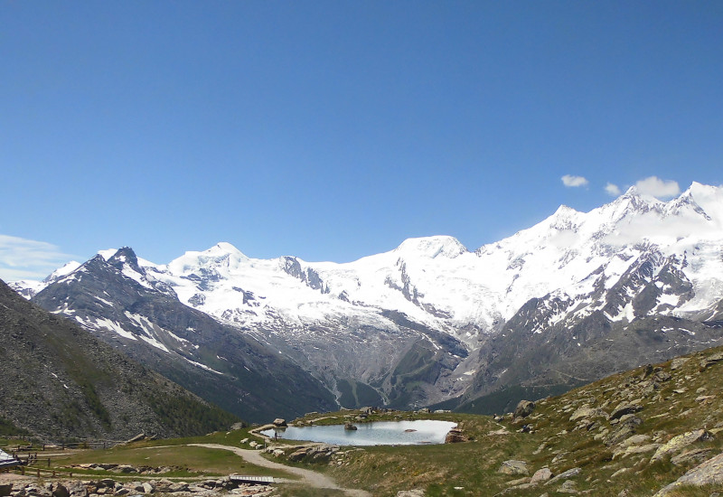 Eine Bergwiese in den Alpen.