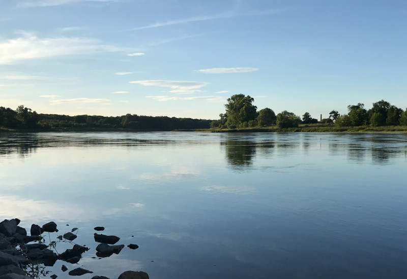 Der Fluss Elbe im Vordergrund mit Bäumen am Ufer und blauem Himmel.