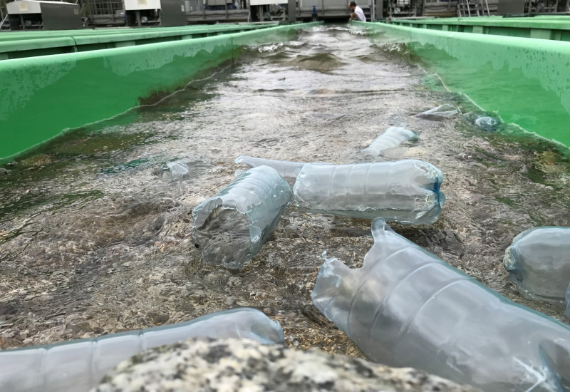 Plastikflaschen schwimmen in der Versuchsanlage.