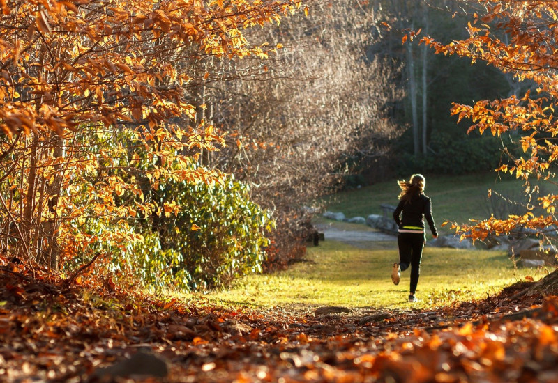 Eine Joggerin im Wald