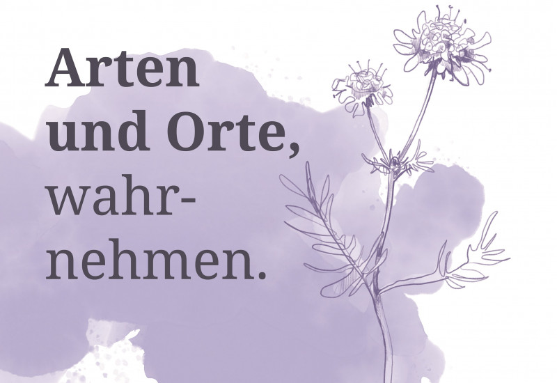 Arten und Orte wahrnehmen