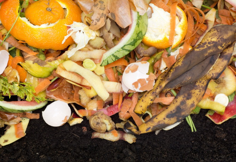 Hochwertige Verwertung: der Weg vom Bioabfall zum Kompost 