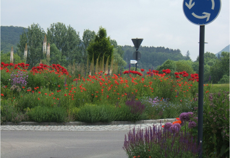 Kreisverkehr Mössingen