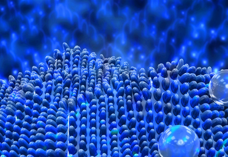 Nanomaterial Lotuseffekt