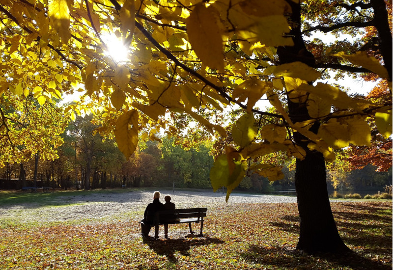 Ein Paar sitzt im Sonnenlicht in einem Park auf einer Bank.