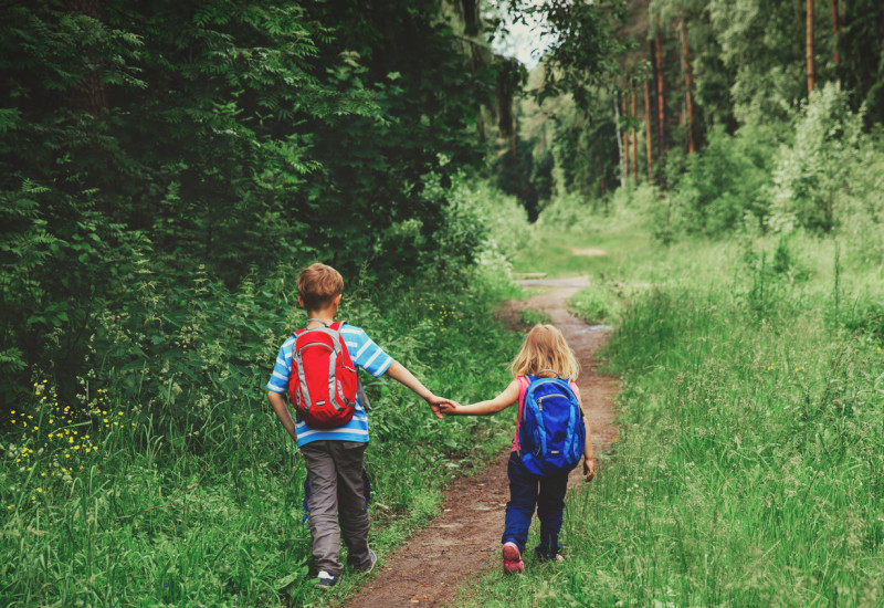 Zwei Kinder wandern im Wald.
