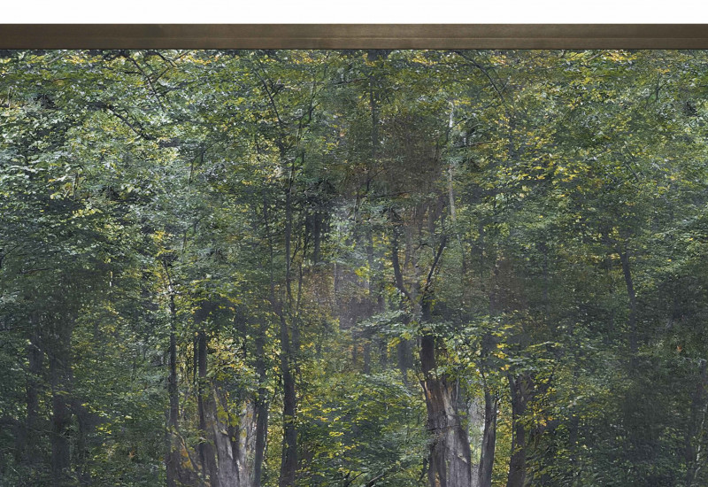 künstliches Waldbild einer KI
