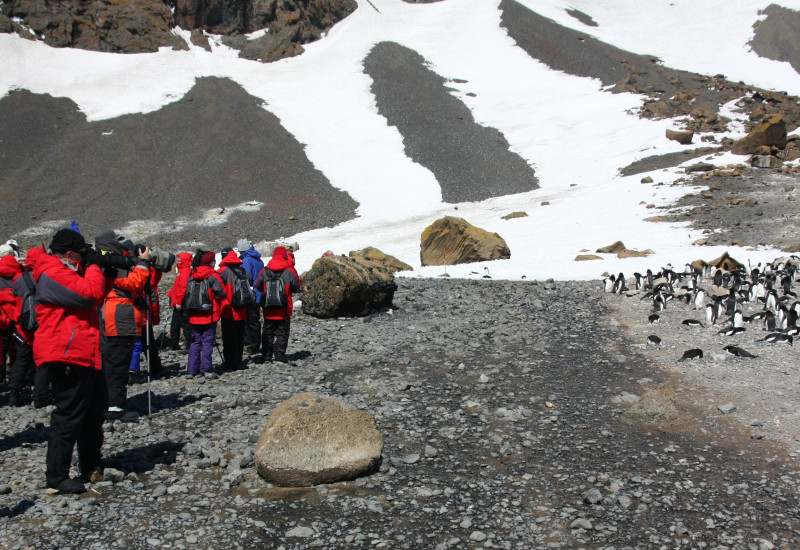 Auf der linken Seite des Bildes steht eine Gruppe von Menschen in roten Kälteschutzanzügen. Sie halten ausreichend Abstand zu einer Gruppe Pinguine auf der rechten Seite. 