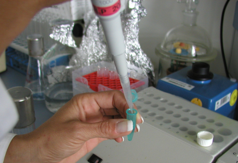 Eine Mitarbeiterin des Umweltbundesamtes, deren Hände im Bild sind, bestückt Küvetten im Labor mit Leuchtbakterien.