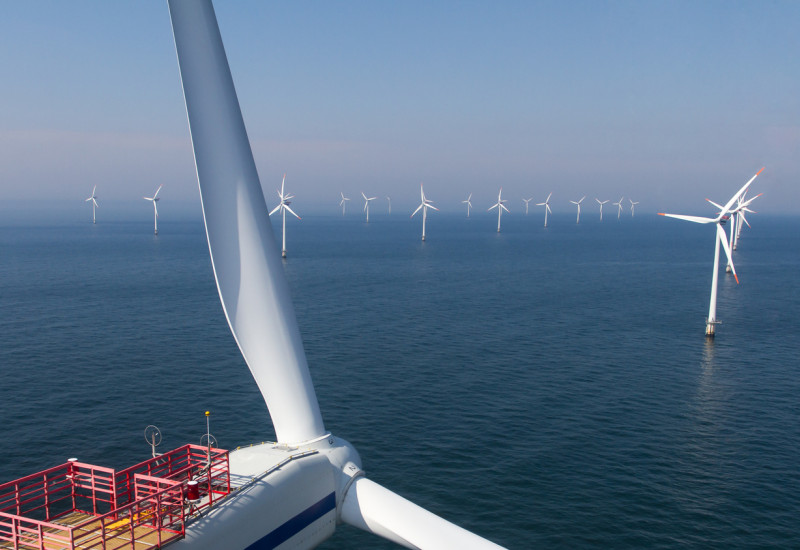 Im Meer steht eine Vielzahl von Windkraftanlagen.