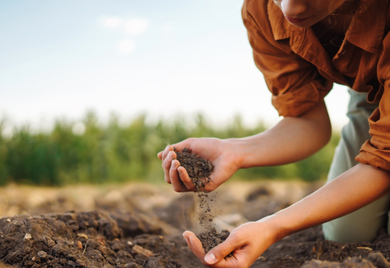 The picture shows a person kneeling on a ploughed field. Scrutinising the dark-brown soil with their eyes, the individual lets it trickle from one hand to the other.