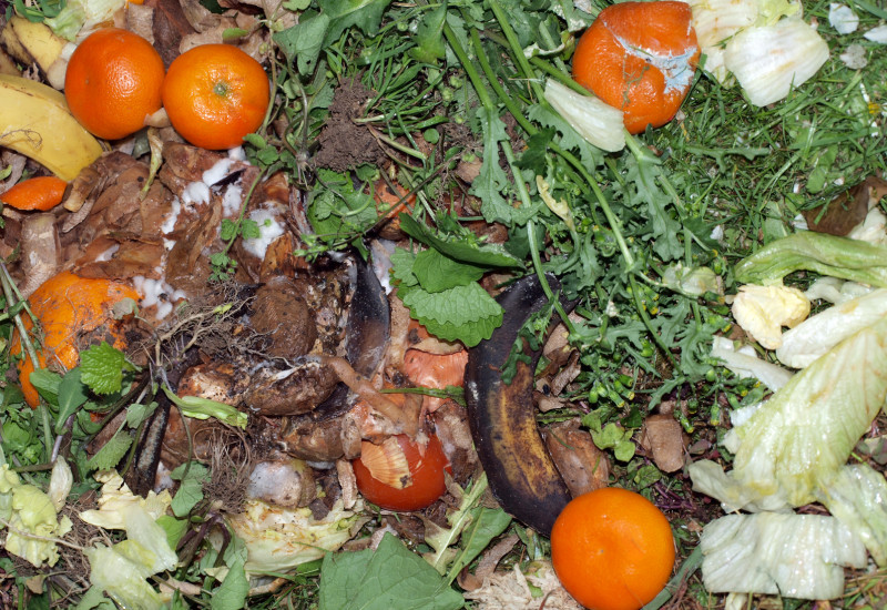 Kompost mit Gemüse- und Obstresten