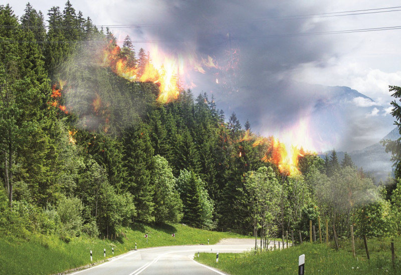 Das Bild zeigt eine Straße, die an einem Waldrand entlangführt. Aus dem Wald schießen Flammen empor, und es ziehen große Rauchwolken in den Himmel. 