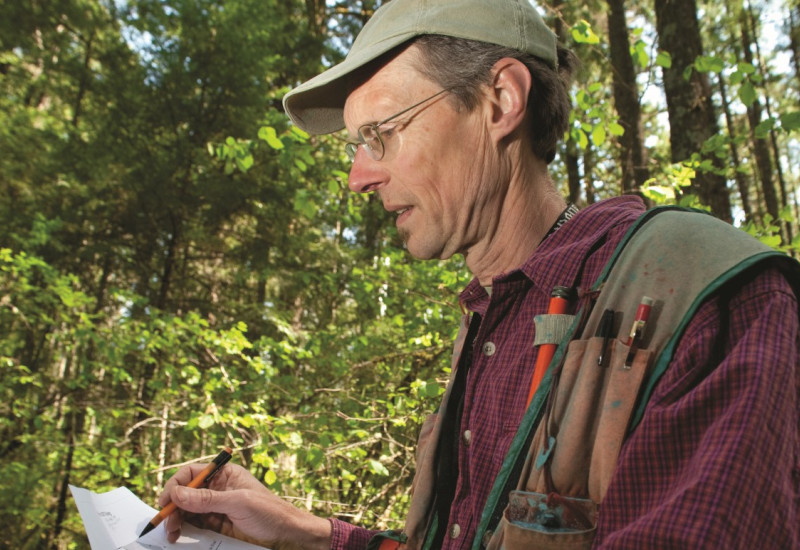 The picture shows a man standing in a mixed forest taking notes on a paper. 