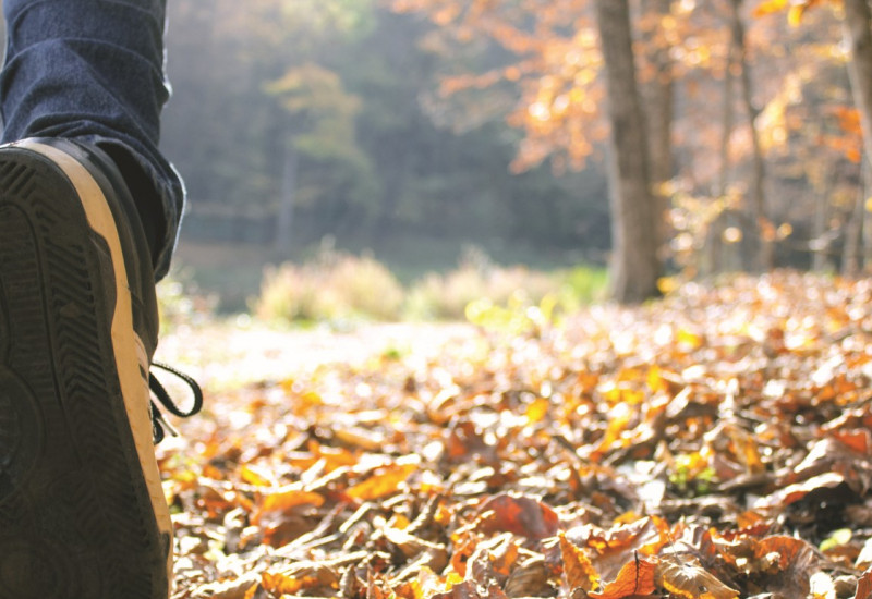 Das Bild zeigt die Großaufnahme einer Wanderschuhsohle. Die Person geht durch herbstliches Laub.