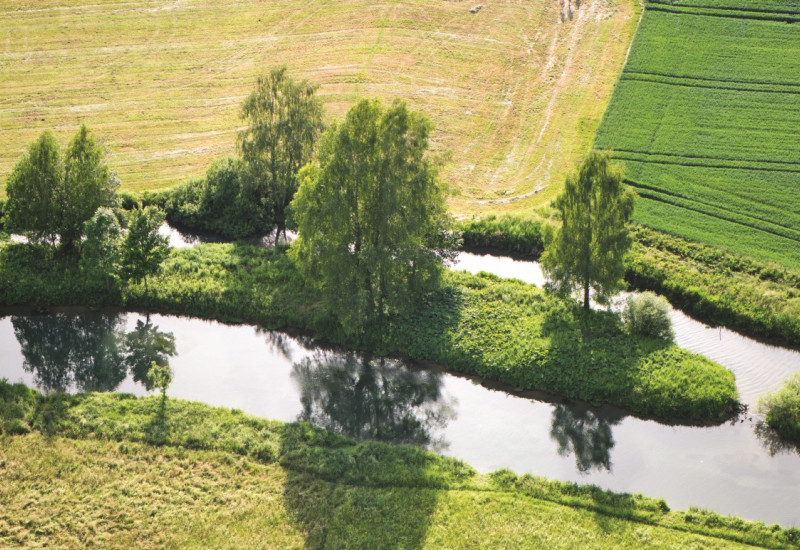Das Bild zeigt einen schmalen Bach, der durch eine landwirtschaftlich genutzte Fläche fließt. Am Uferrand stehen einzelnen große Bäume und einige Büsche, die Schatten auf die Wasseroberfläche werfen. 