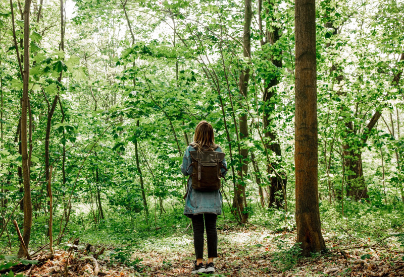 Zu sehen ist eine Frau, die mit dem Rücken zum Bild steht. Sie steht in einem Wald, der schön begrünt ist und guckt in die Weite. 