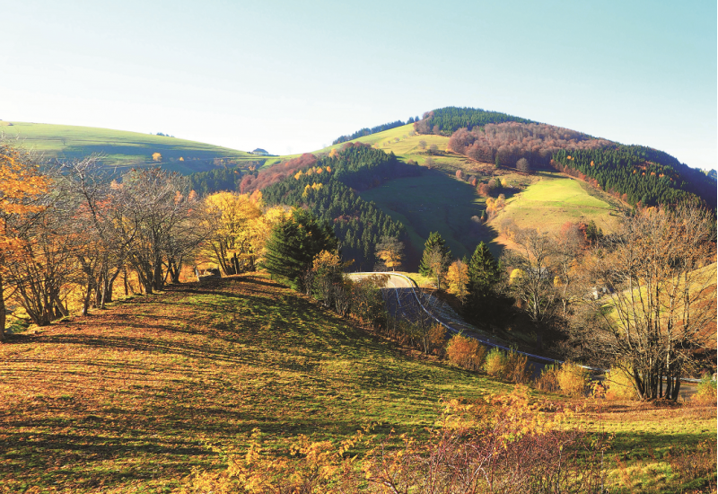 The picture shows a hilly landscape with meadows, hedges, groups of trees and wooded areas in autumnal light. 