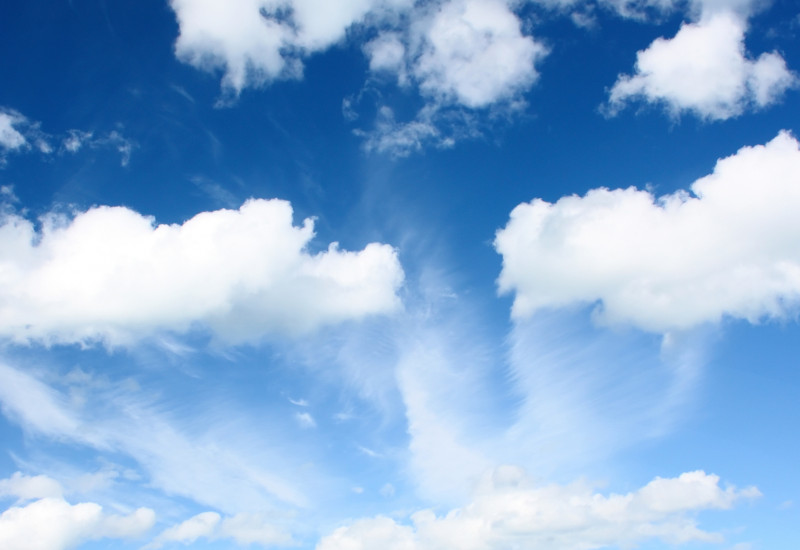 Auf einer grünen Wiese stehen Kühe. Der Himmel ist blau, nur ein paar weiße Wolken sind zu sehen. 