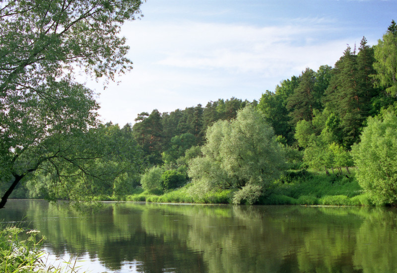 Ein idylisches Flussufer mit vielen grünen Bäumen, die sich im Wasser spiegeln